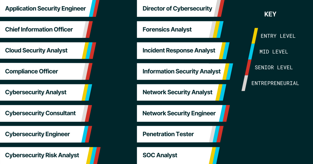 A graphic visualizing 16 roles that call for a cybersecurity skill set, alongside categorizations indicating the required expertise level for each role.