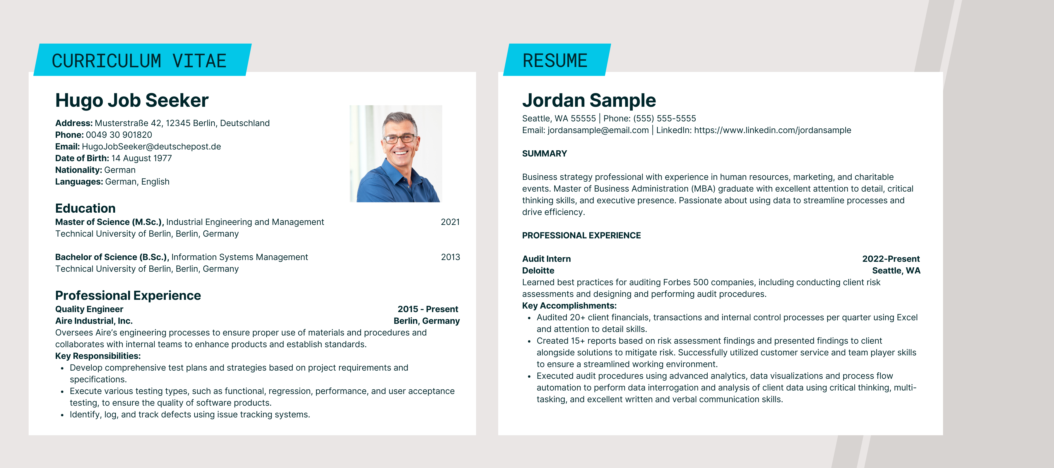 An image of the CV and Resume linked above.